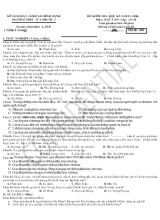 Đề kiểm tra học kỳ I (năm học 2015 - 2016) môn Ngữ văn lớp 11